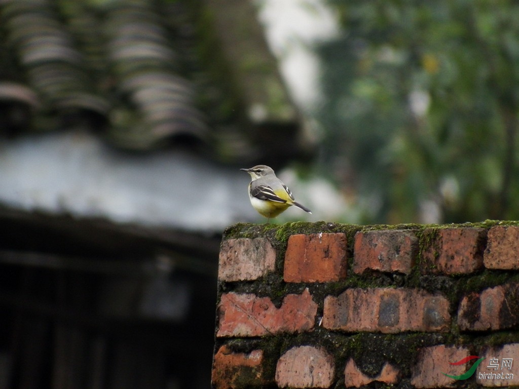 ����10��