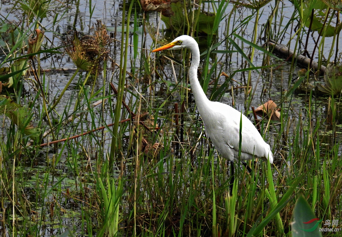 DSCN7678 ����.jpg