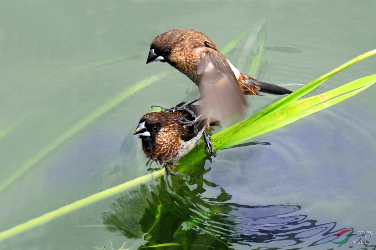 DSCN7580 ����.jpg