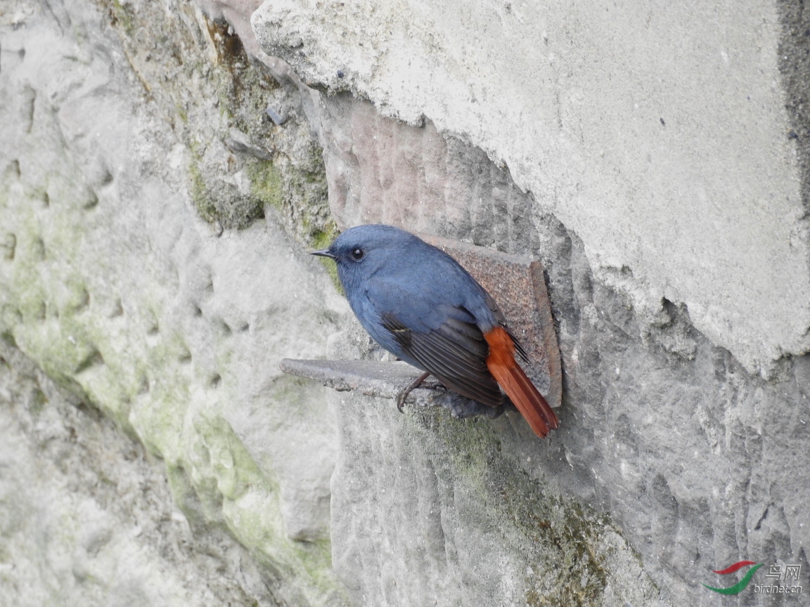 30��δ����