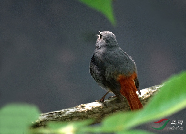 DSC06914 ����.jpg