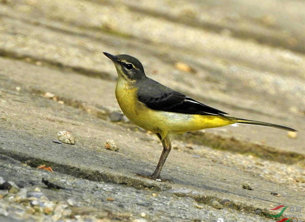 145339xrsrnrgxk3bg4k66 ����.jpg