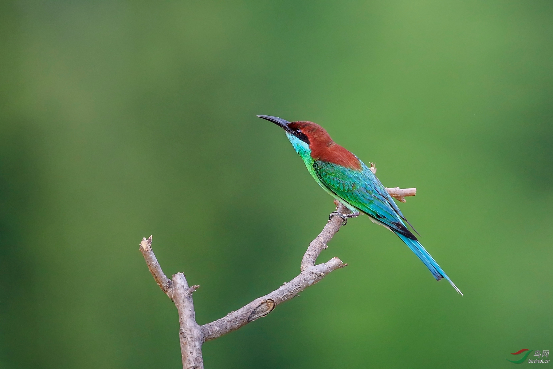 吉版朋友周末愉快
