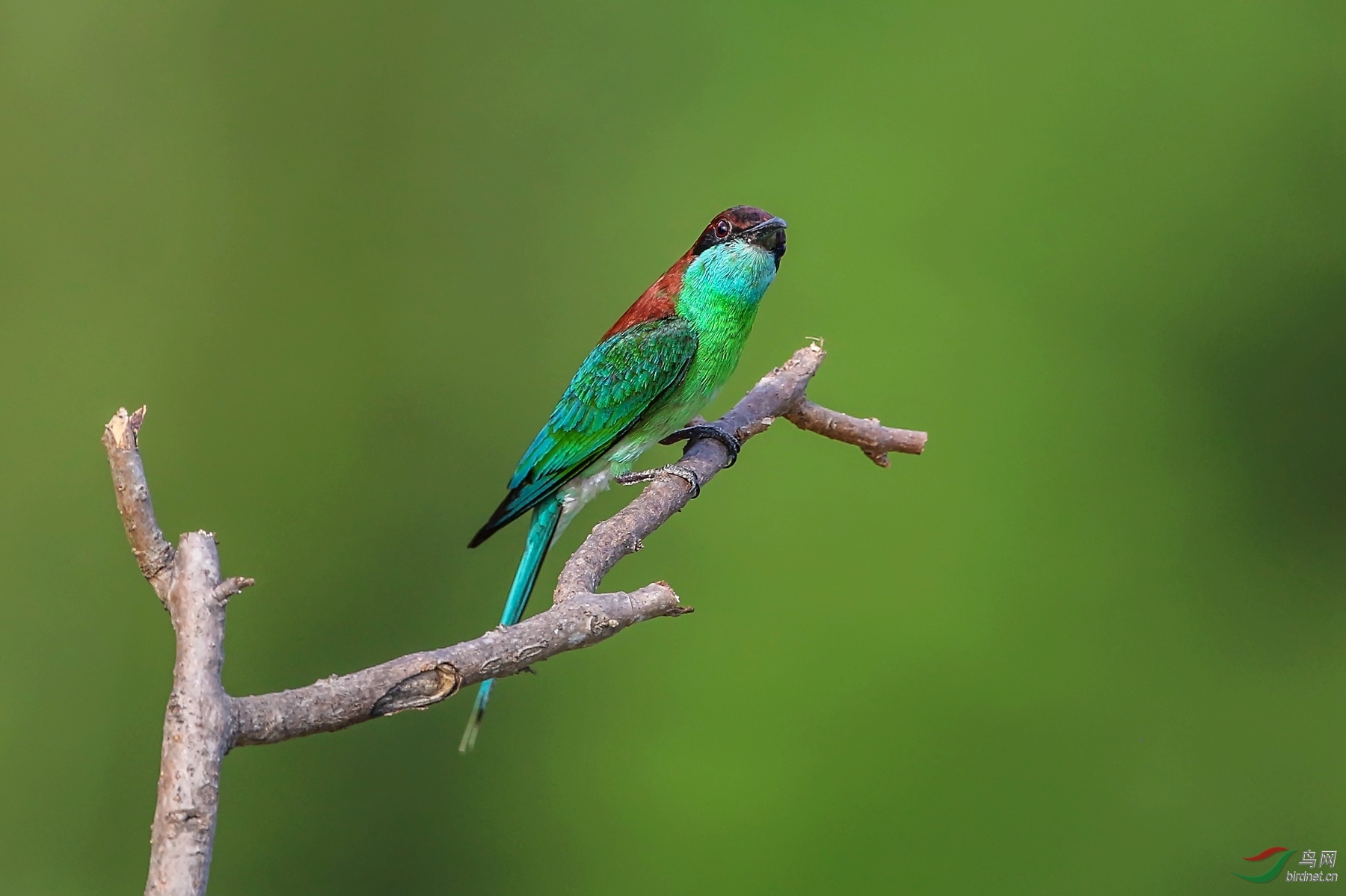 吉版朋友周末愉快