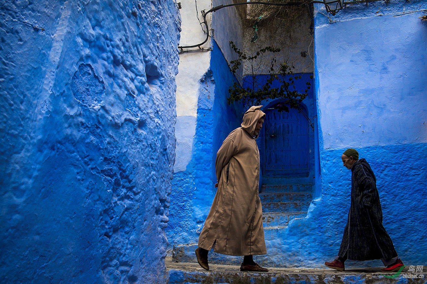 2017��������Ʒ ��������Ӱ�� (6).jpg