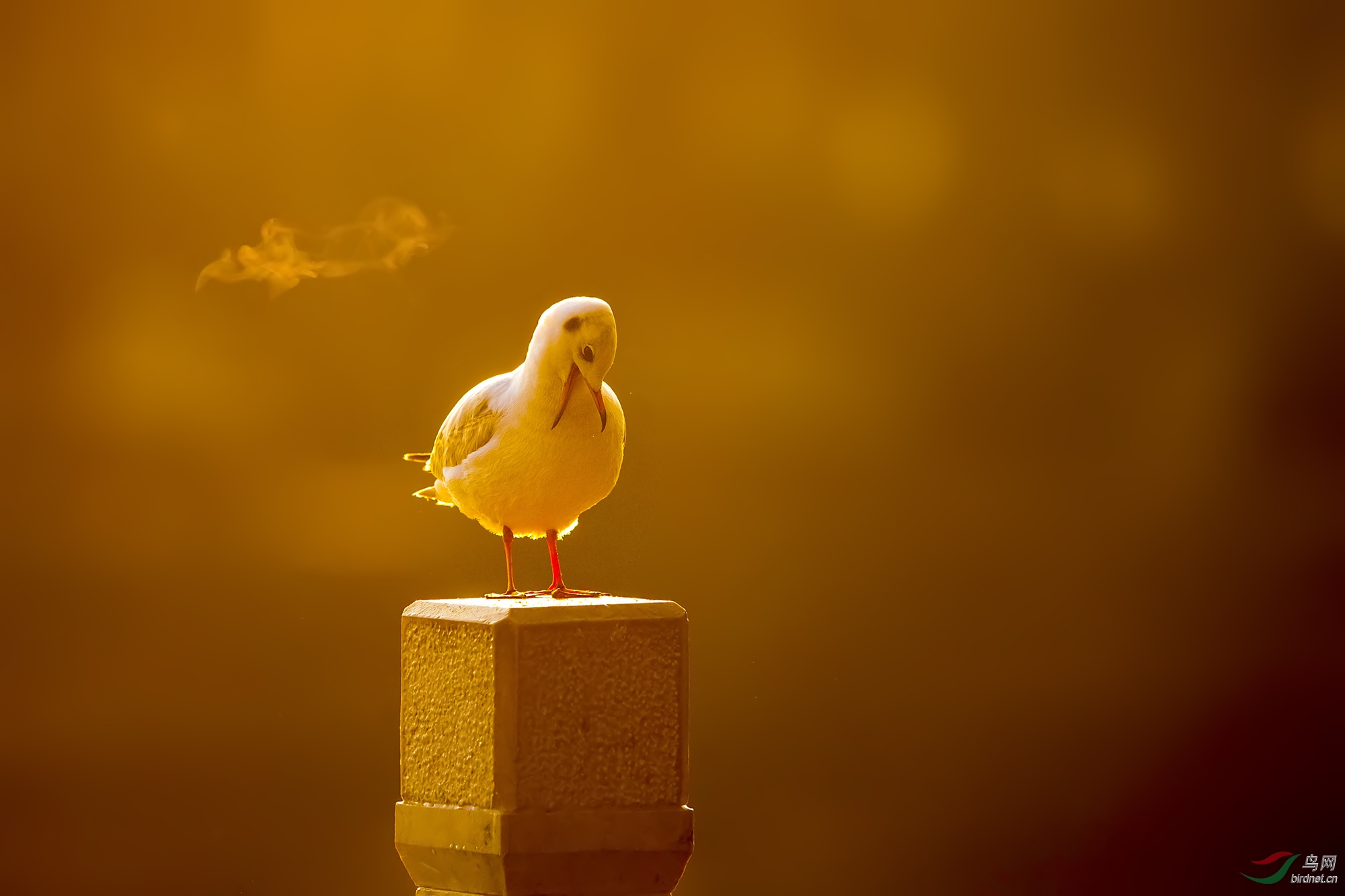 一声叹息十分无奈