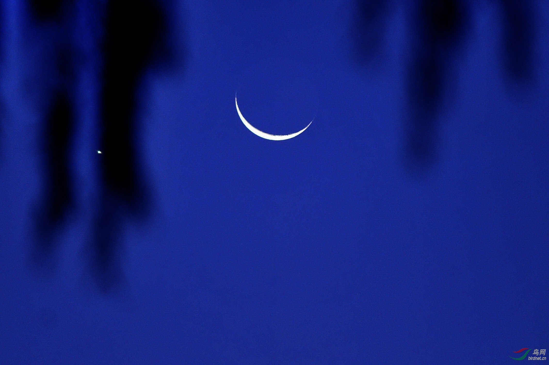 综合缺月挂疏桐缥缈孤鸿影苏轼词卜算子