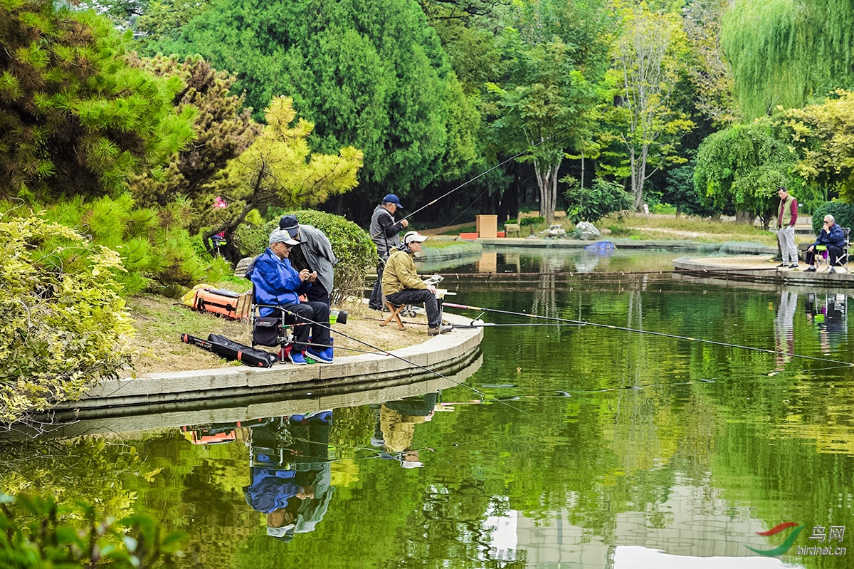 垂钓