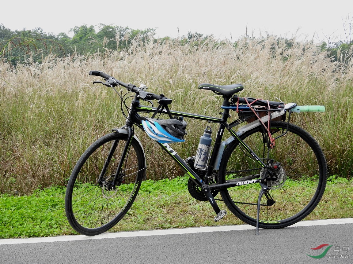 ����ͨ����