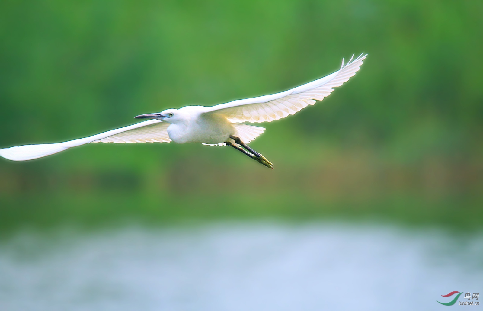 照片 079_副本.jpg