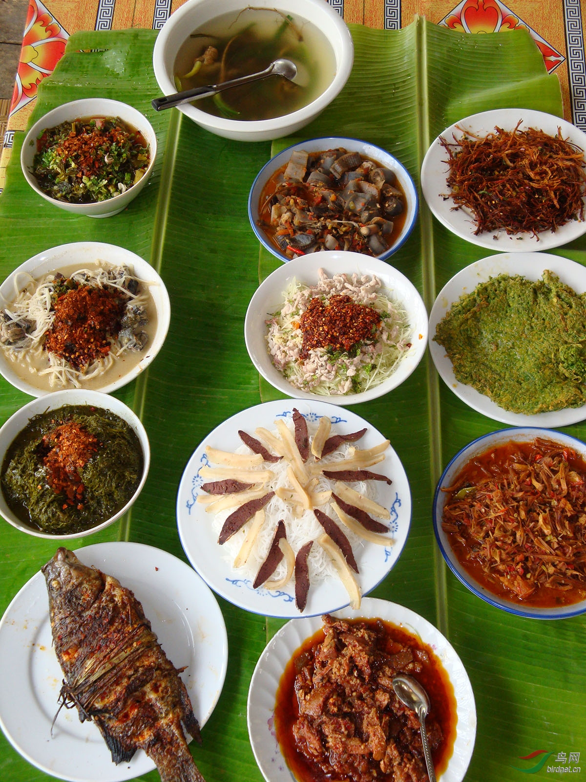 生态高黎贡富饶潞江坝