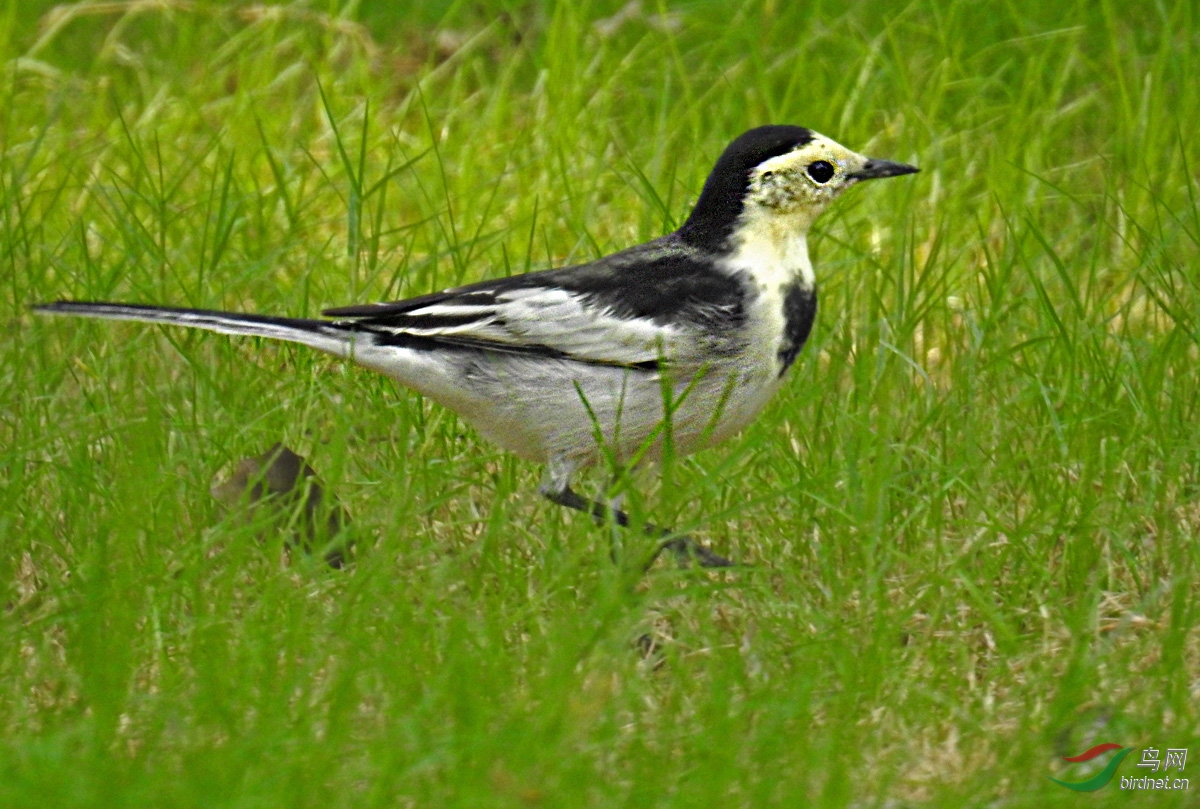 DSCN8346 ����.jpg