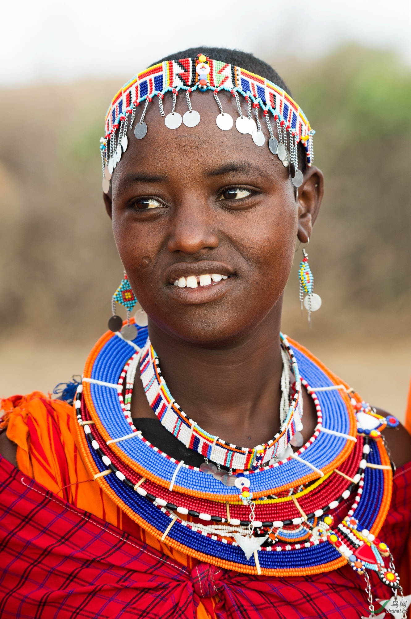 酋长和他的夫人