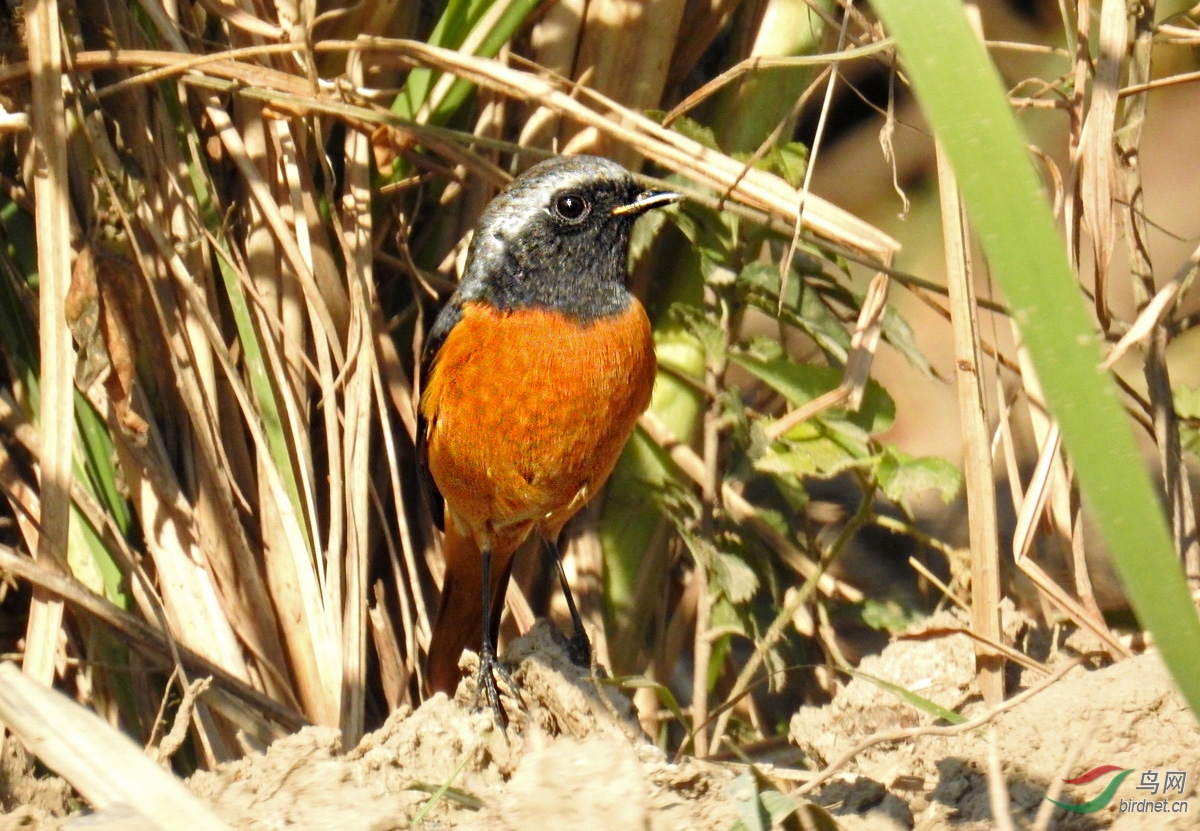 DSCN8483 ����.jpg