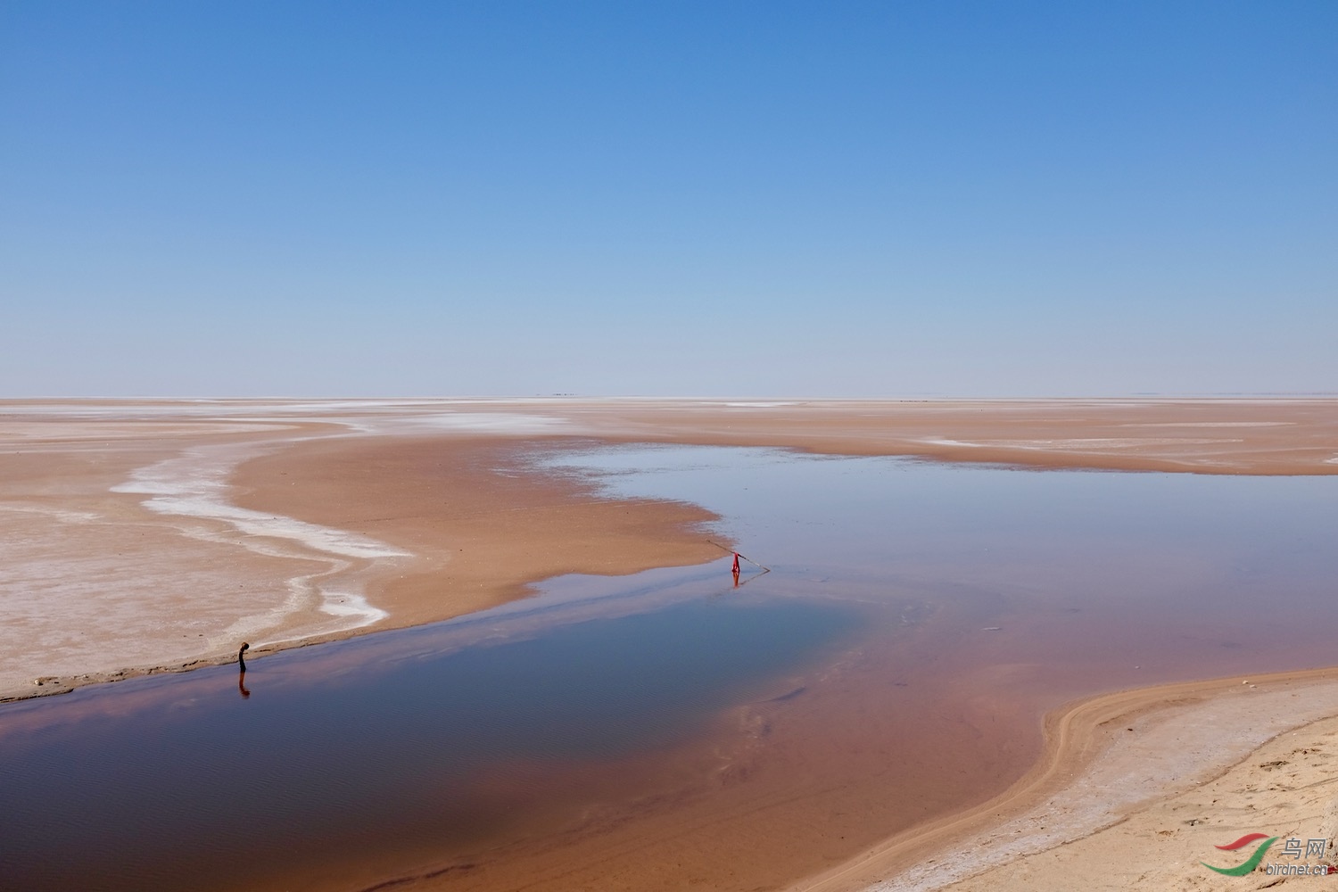 突尼斯杰里德大盐湖