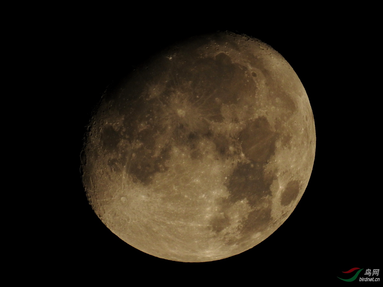 DSCN3371-2.JPG