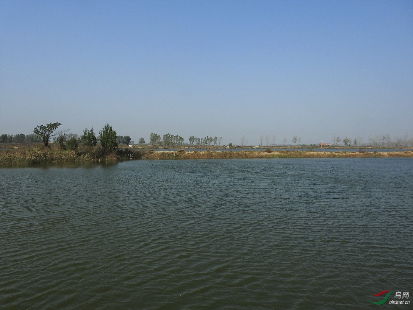 2017��ľ���