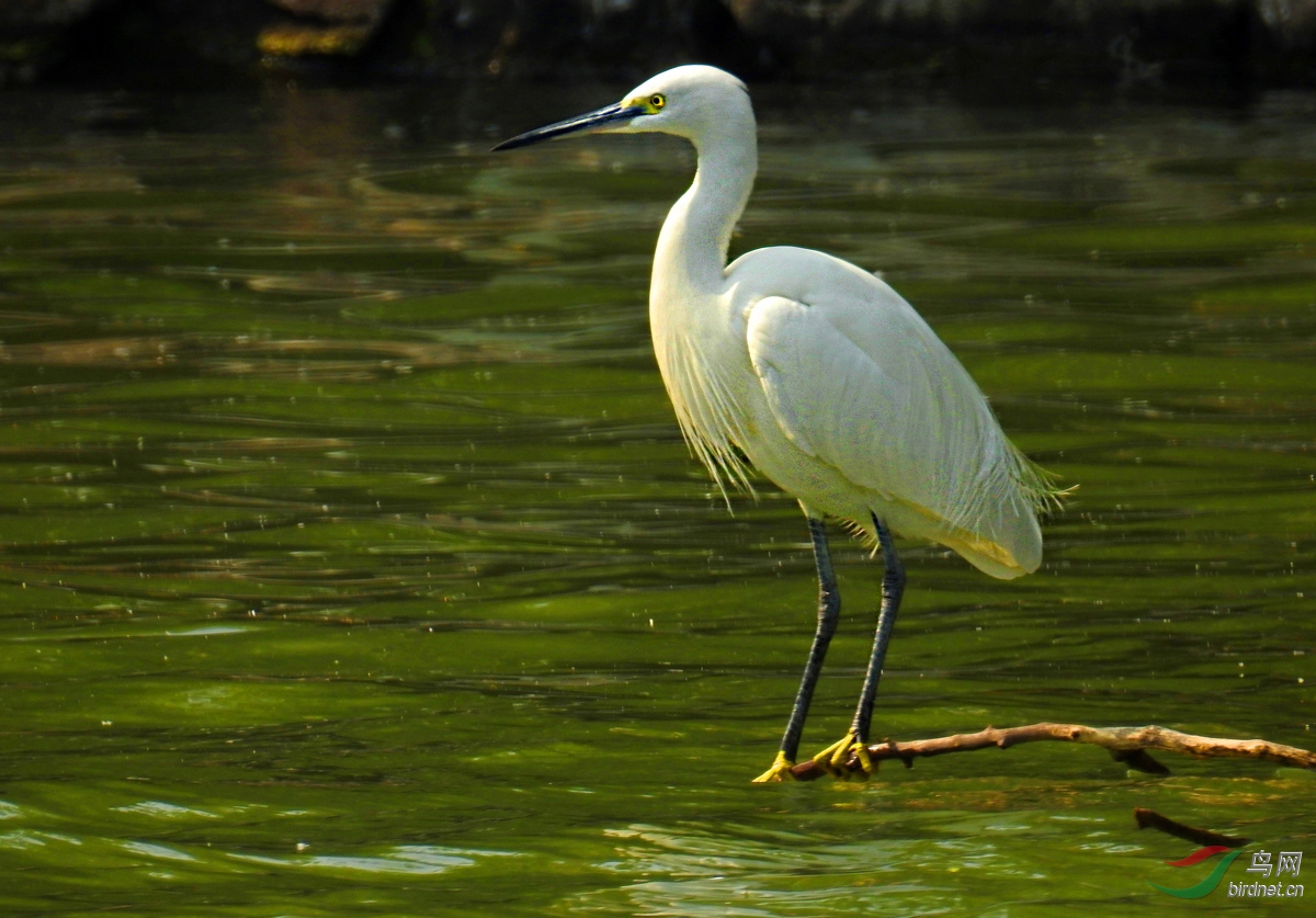 DSCN8772 ����.jpg