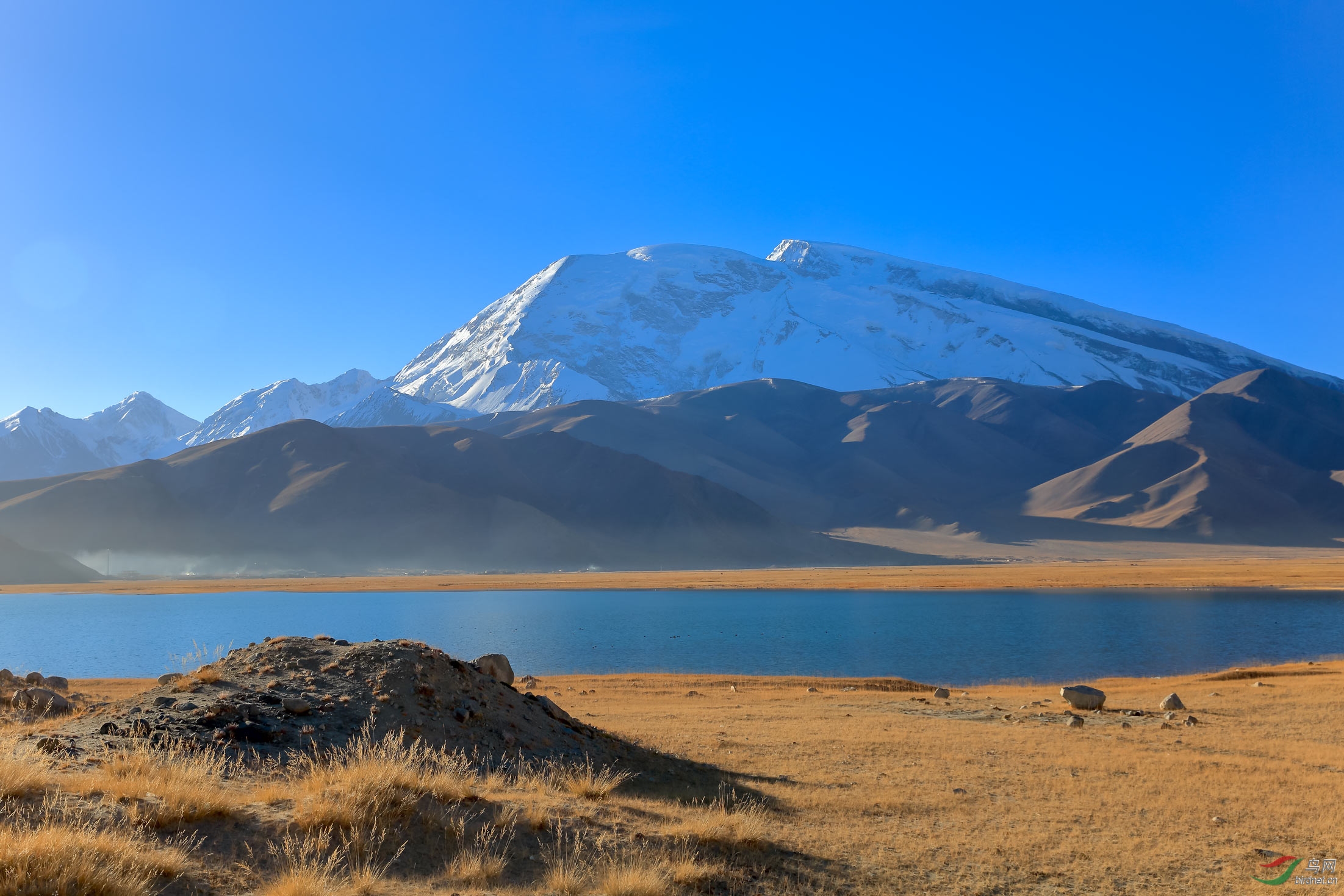 远眺慕士塔格峰