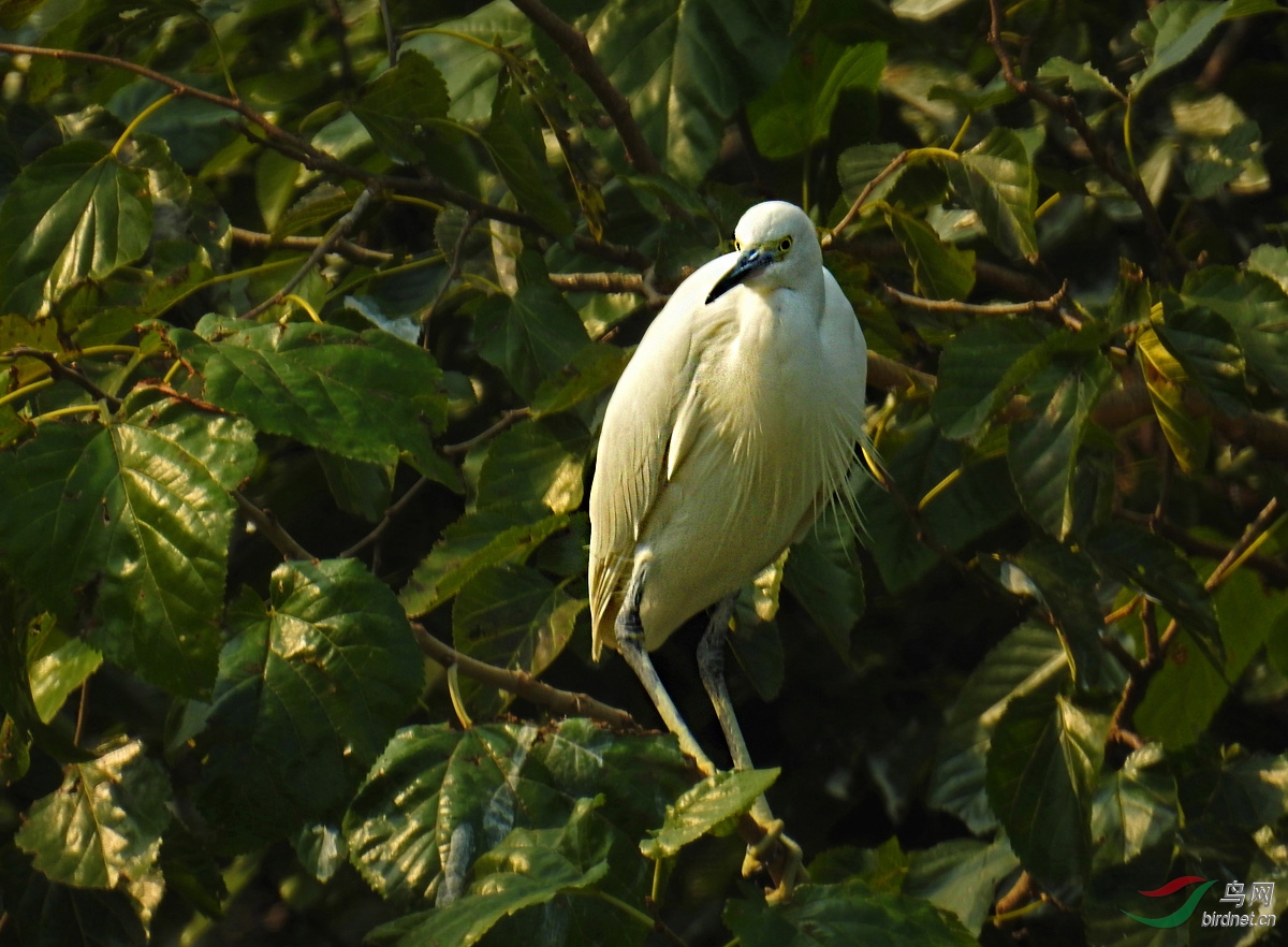 DSCN8771 ����.jpg