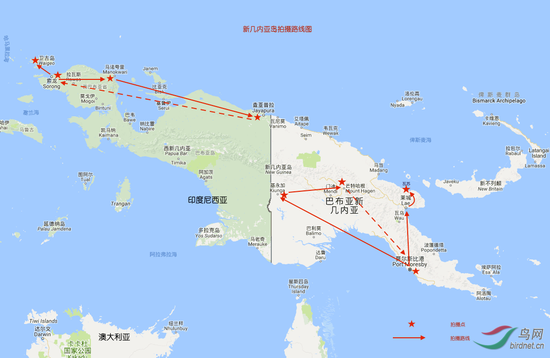 走地狱路拍天堂鸟新几内亚岛拍鸟记事