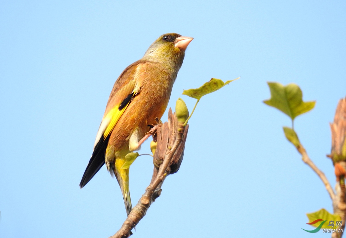 DSCN9215 ����.jpg