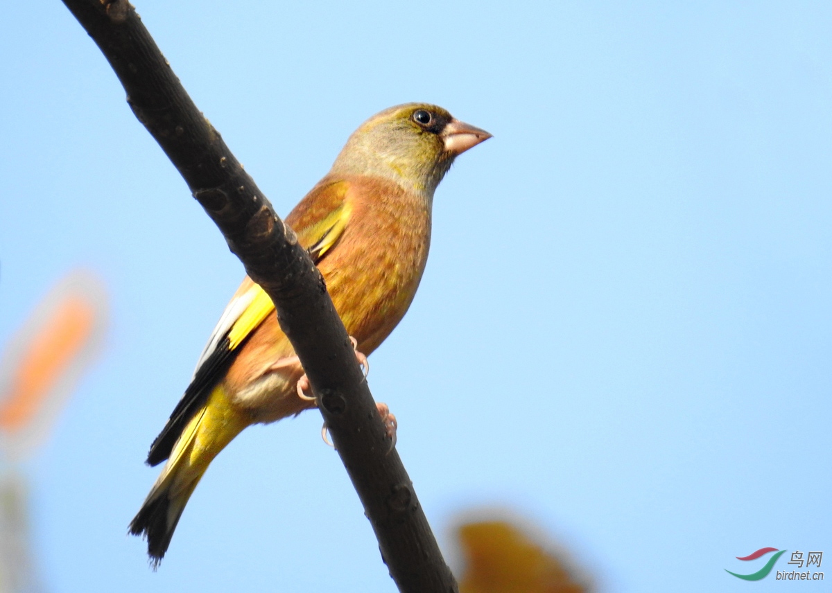 DSCN9171 ����.jpg