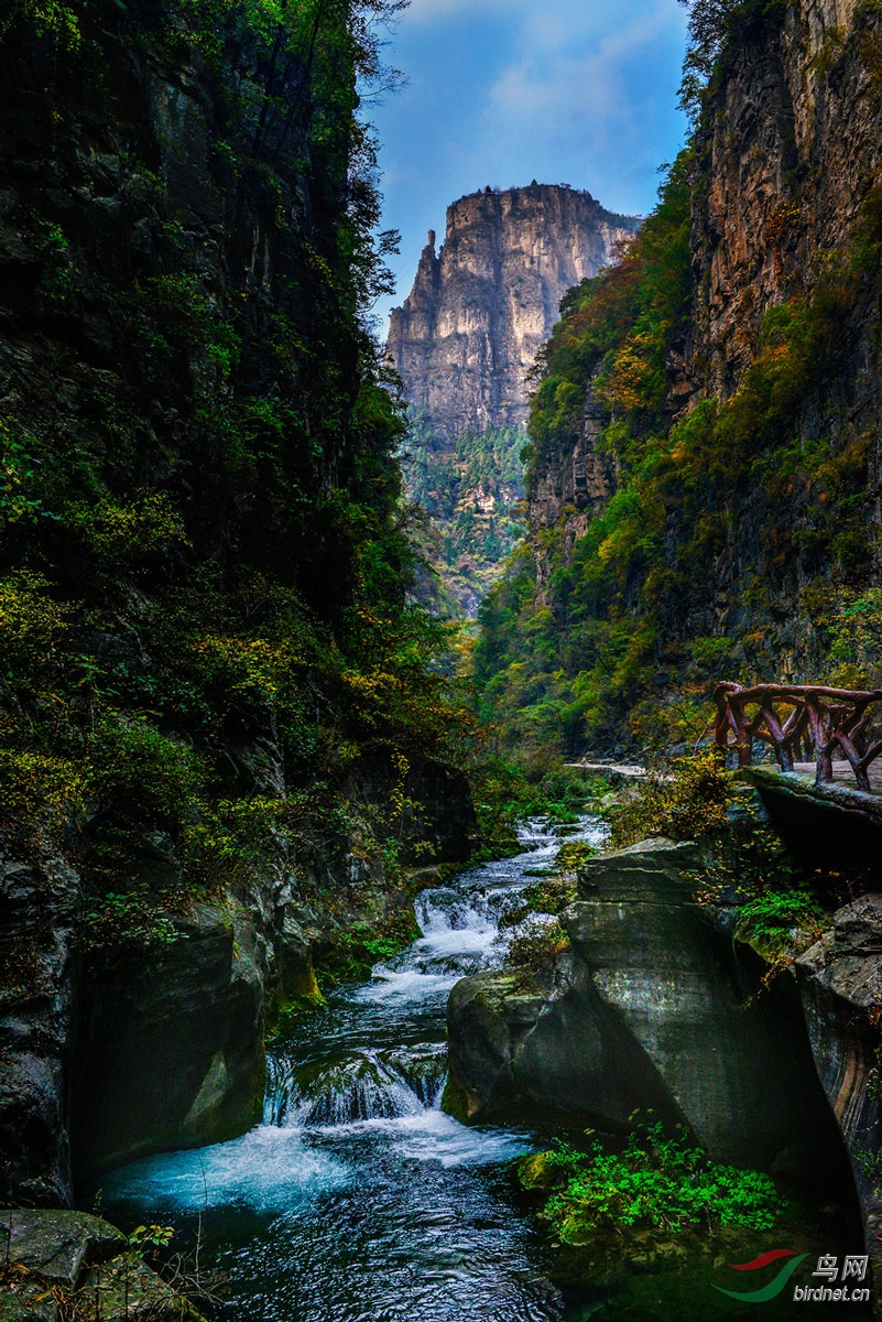 山涧小童图片