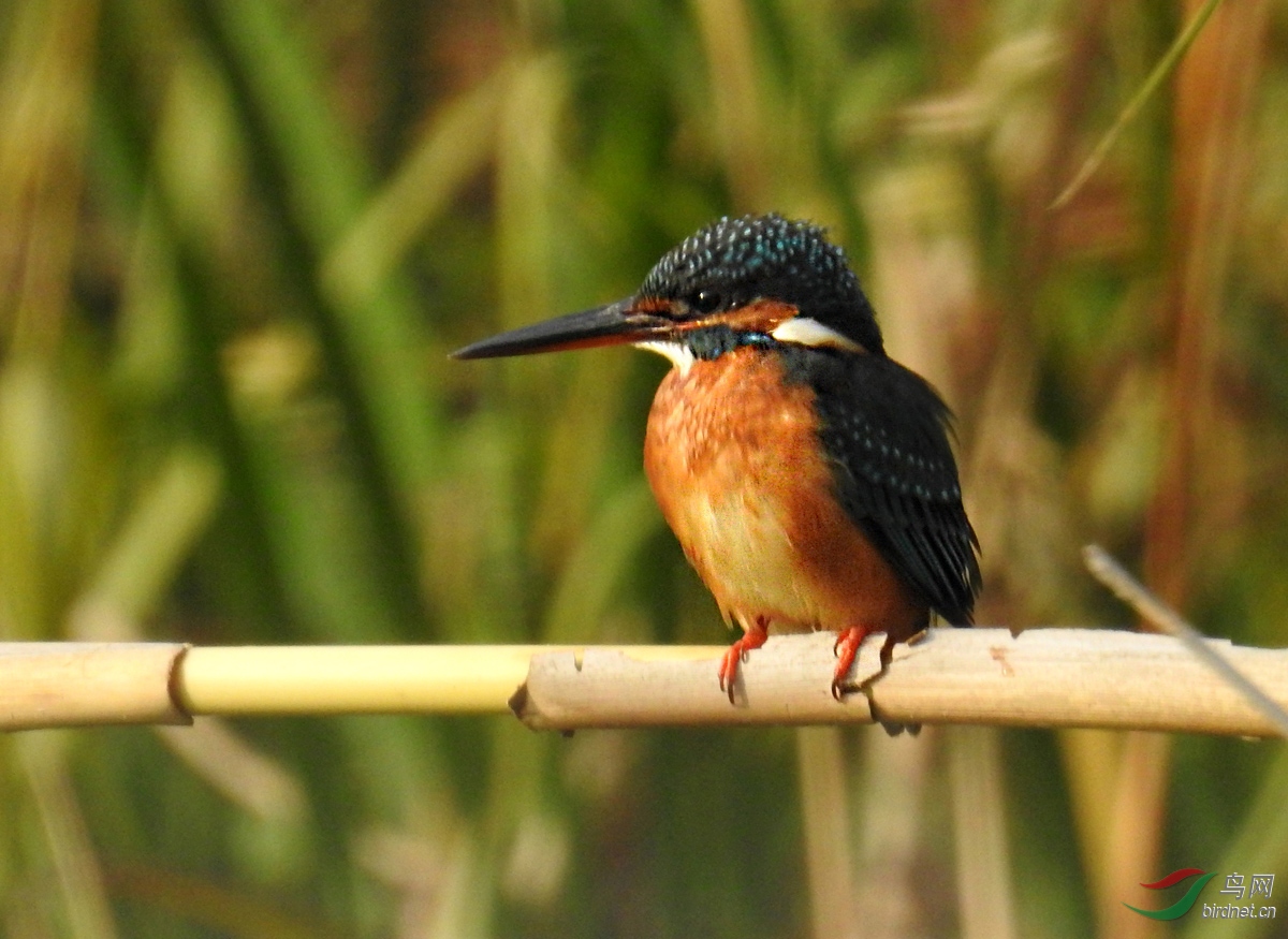 DSCN9332 ����.jpg