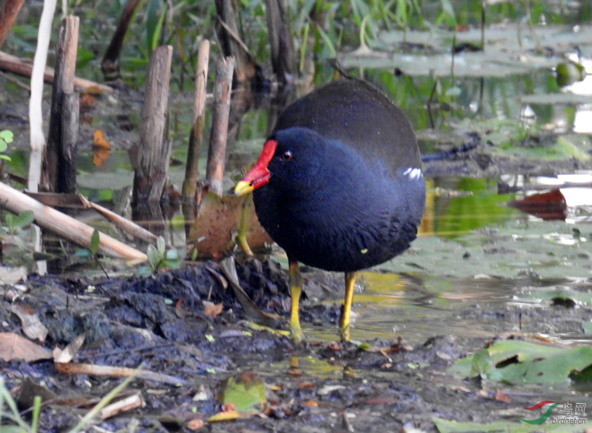 DSCN9698 ����.jpg