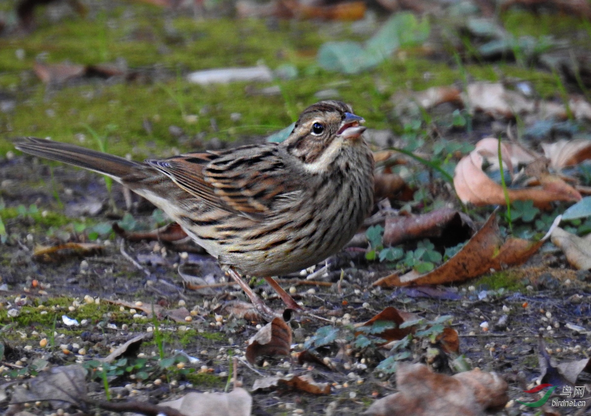 DSCN9638 ����.jpg