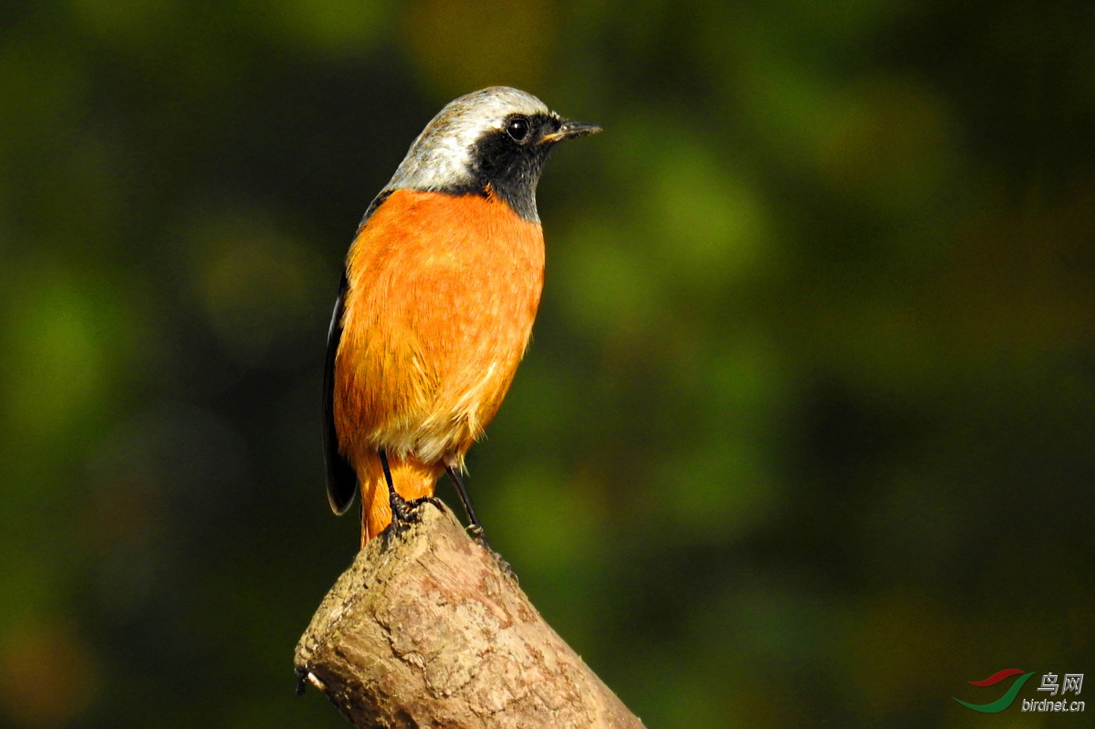 DSCN9754 ����.jpg