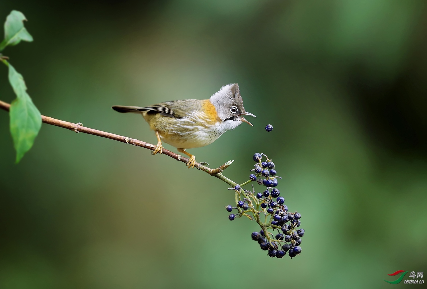 20171116-0288.jpg
