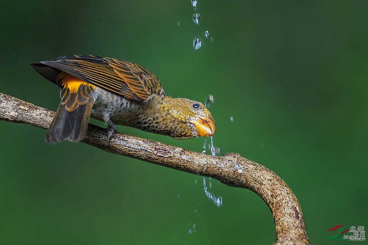 Ѫȸ 20171116-0097.jpg