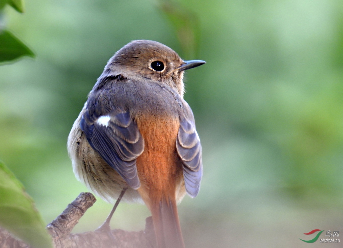 DSCN0034 ����.jpg