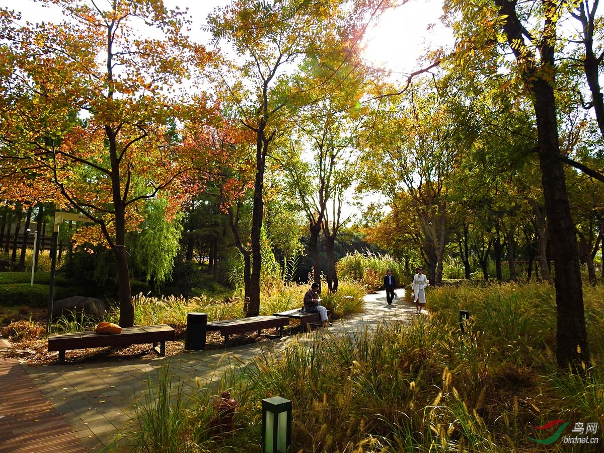 DSCN9135 ����6.jpg