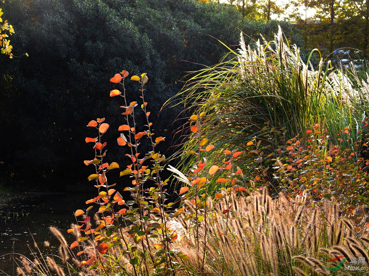 DSCN9353 ����4.jpg