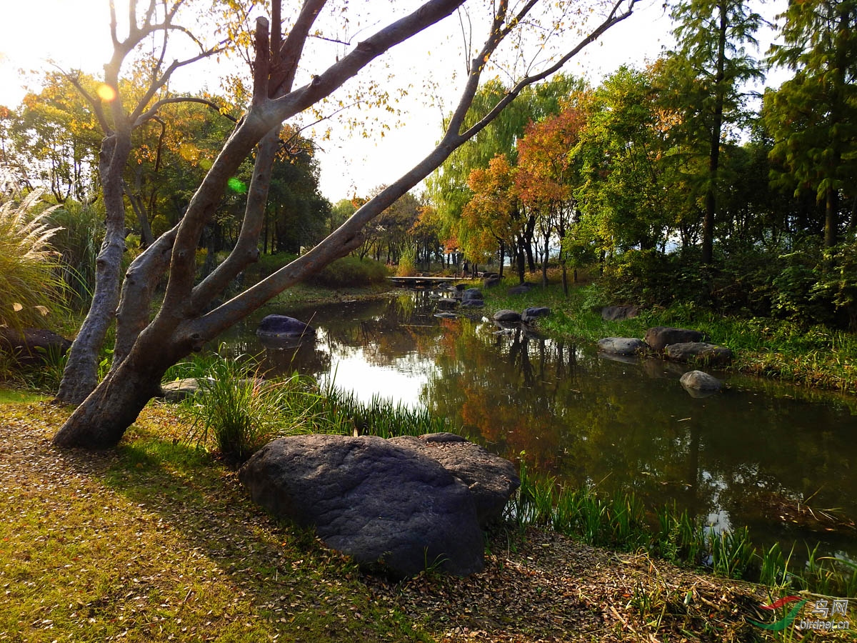 DSCN9343 ����3.jpg