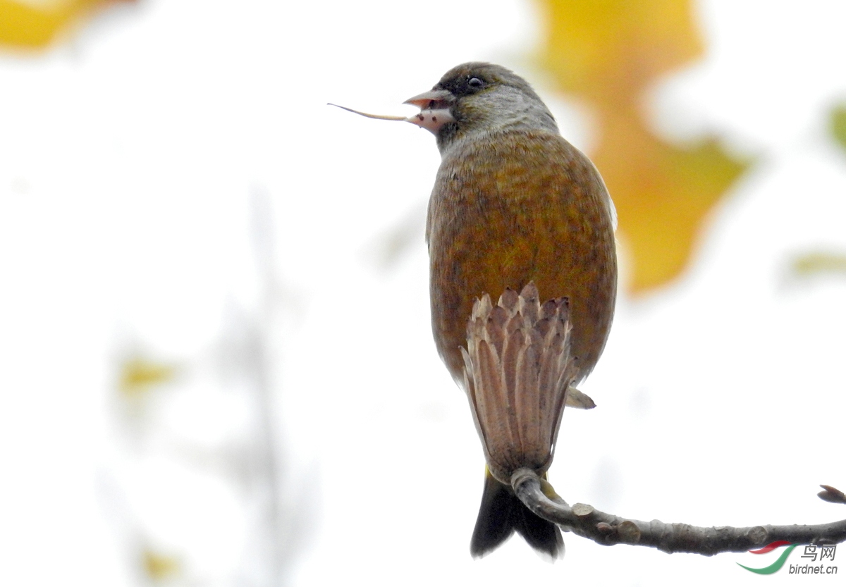 DSCN0423 ����.jpg