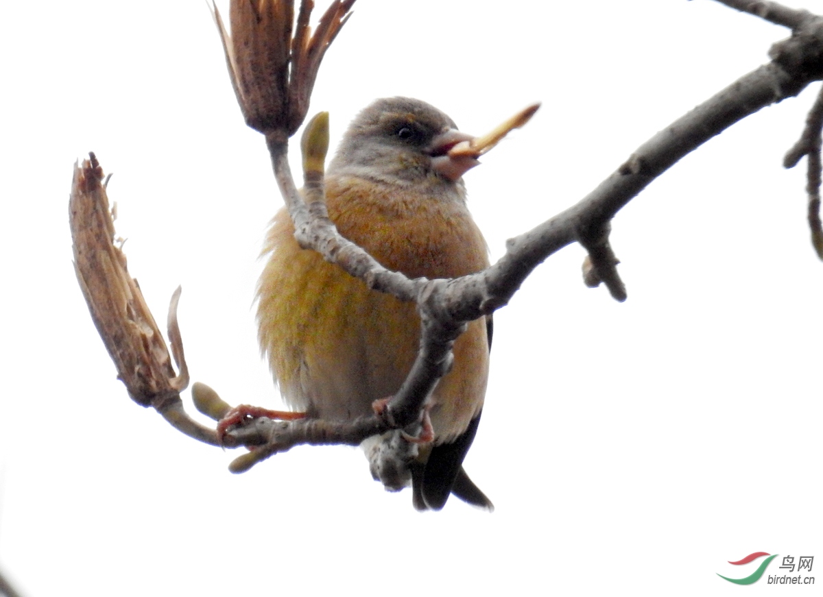 DSCN0438 ����.jpg