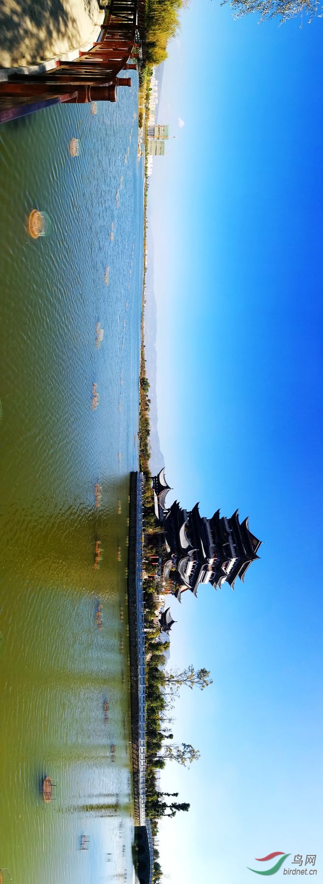 周末随拍保山青华海湿地公园
