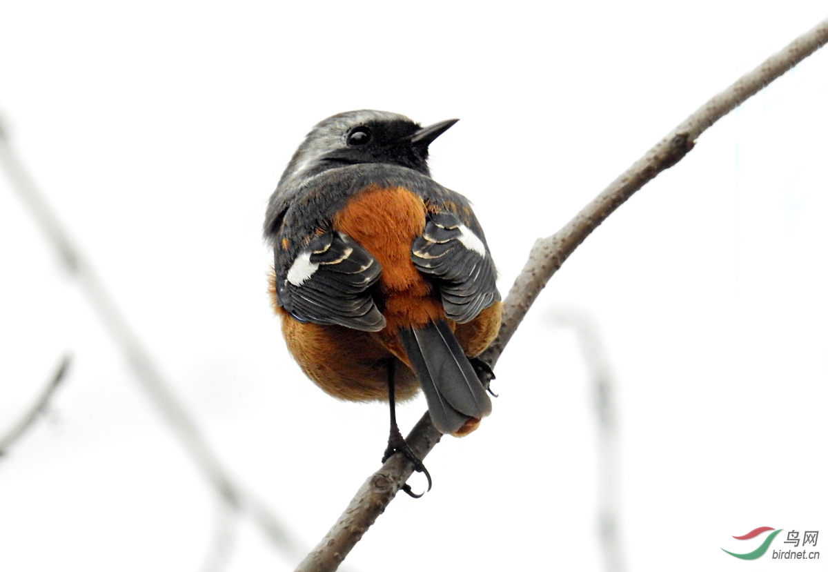 DSCN0405 ����.jpg