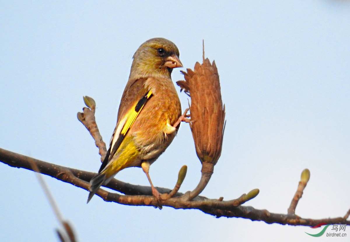 DSCN0360 ����.jpg