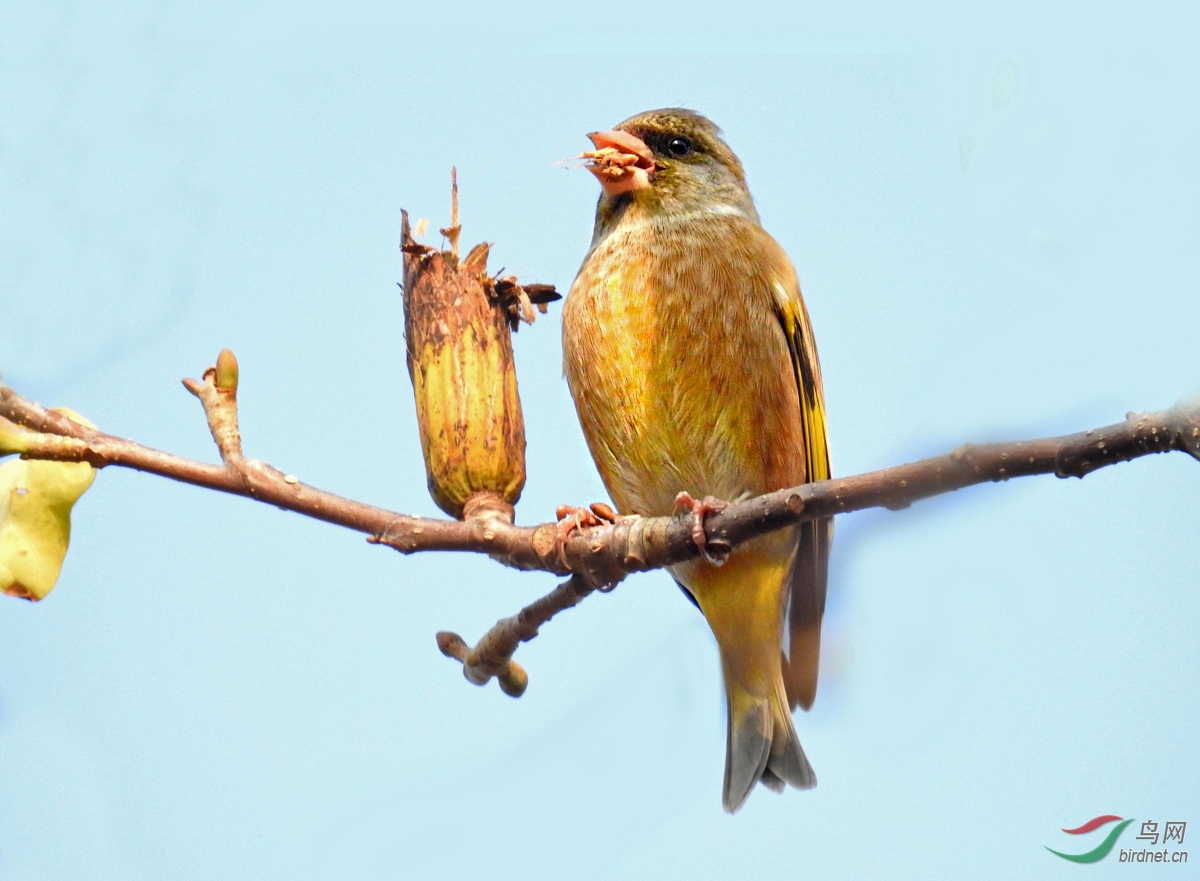 DSCN0257 ����.jpg