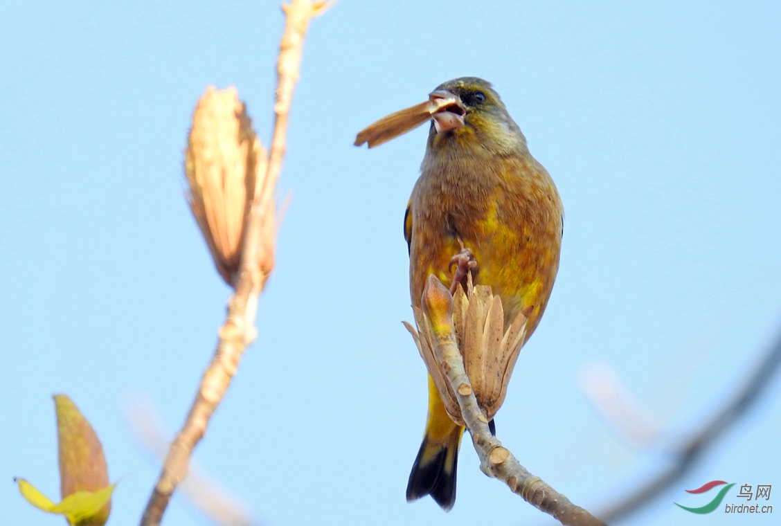 DSCN0493 ����.jpg