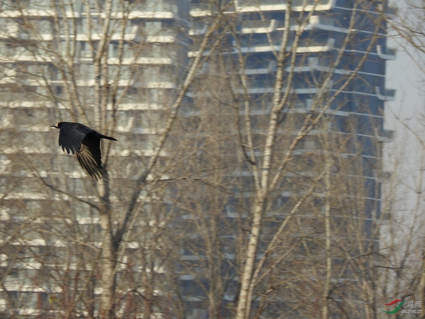 DSCN6191.JPG