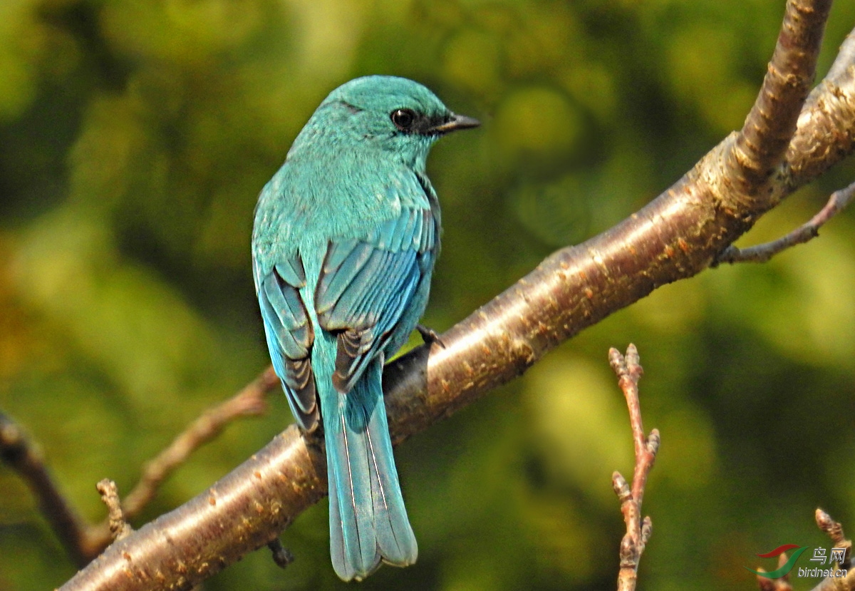 DSCN0803 ����.jpg