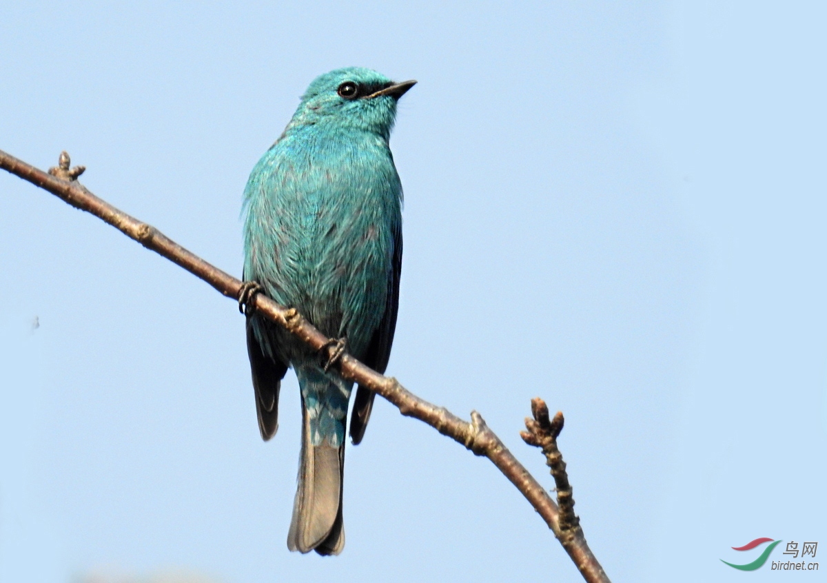 DSCN0786 ����.jpg