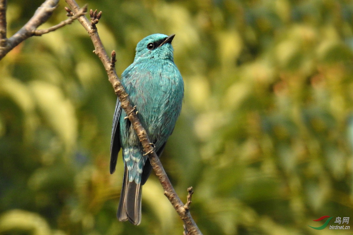 DSCN0767 ����3.jpg