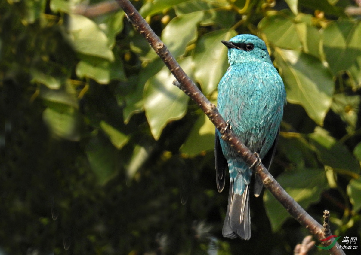 DSCN0793 ����4.jpg